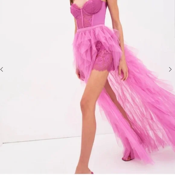 X REVOLVE Bustier Gown in Pink
For Love and Lemons - Picture 10 of 10